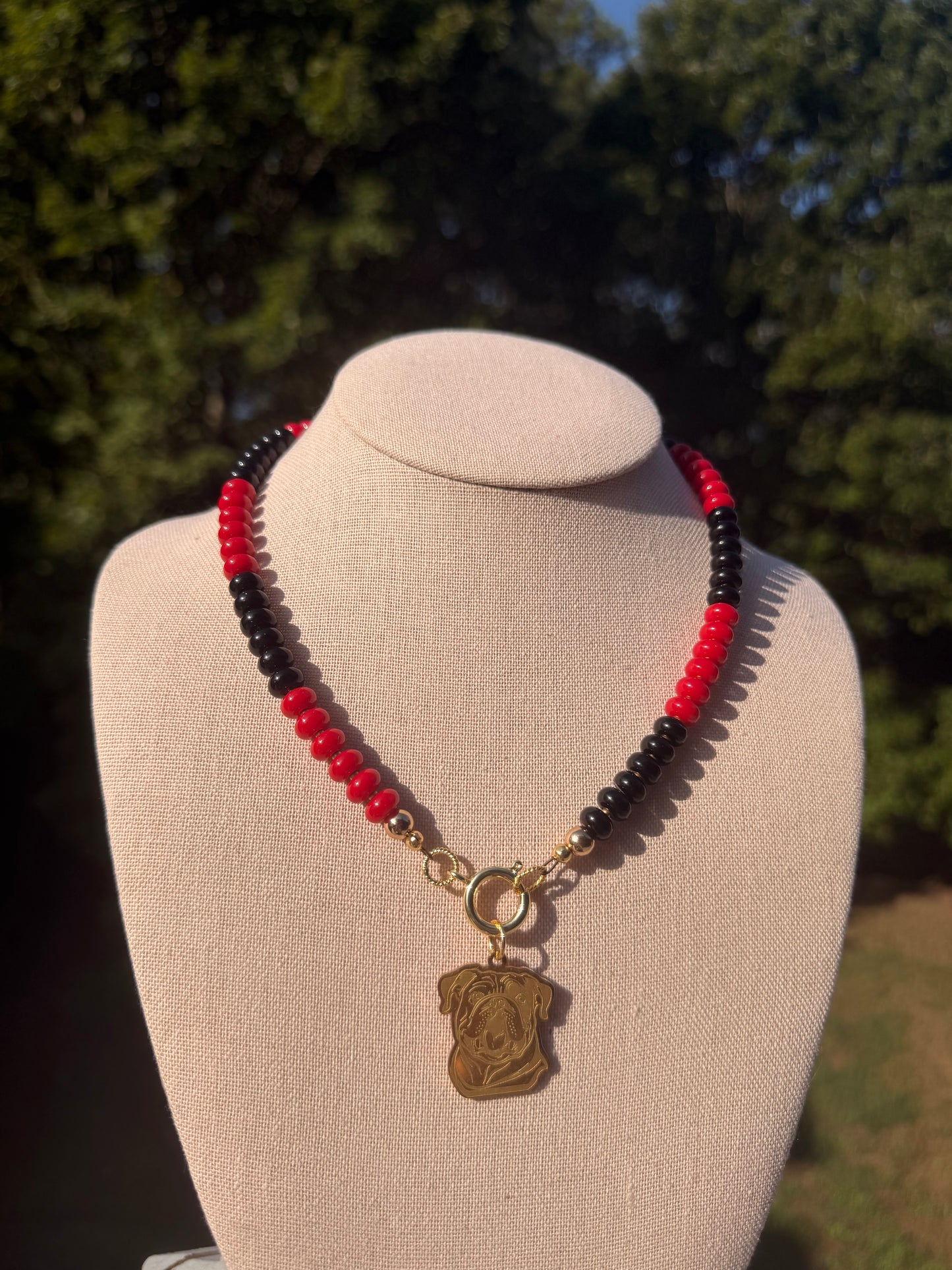 Game Day🏈: red and black with a bulldog charm